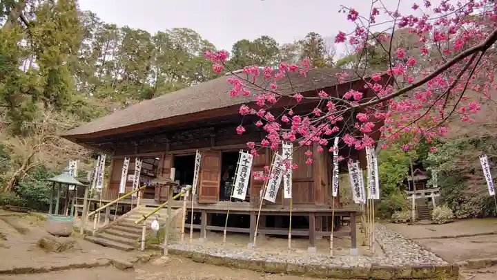 杉本寺の本殿・本堂