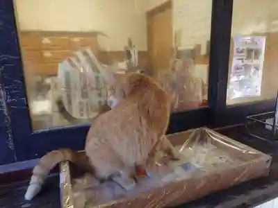 薦神社(大分県)
