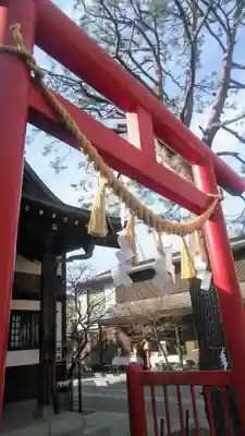 猿田彦神社の鳥居
