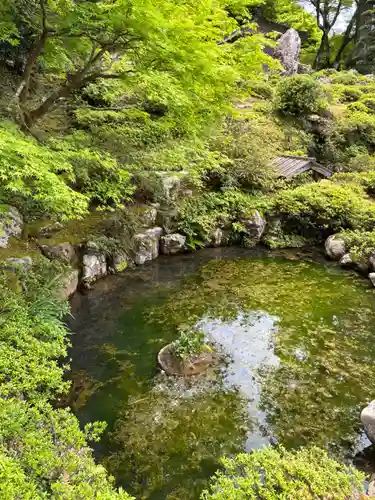 萬徳寺(福井県)
