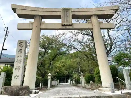 葛原八幡神社の鳥居