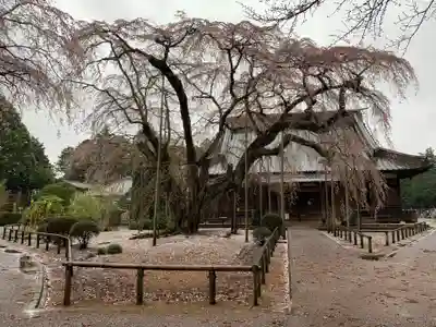 長光寺(千葉県)