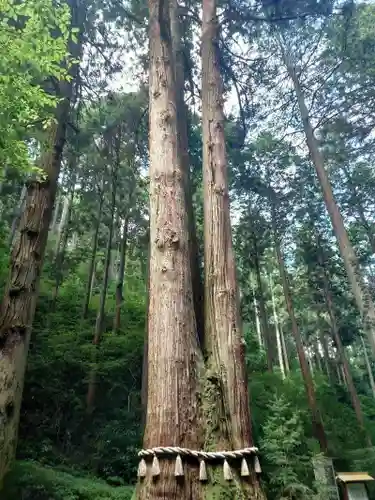 御岩神社の自然