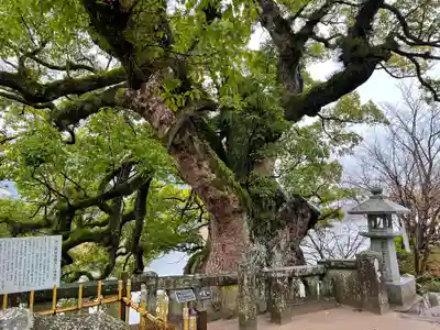 與止日女神社(佐賀県)