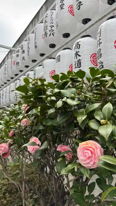 サムハラ神社(大阪府)