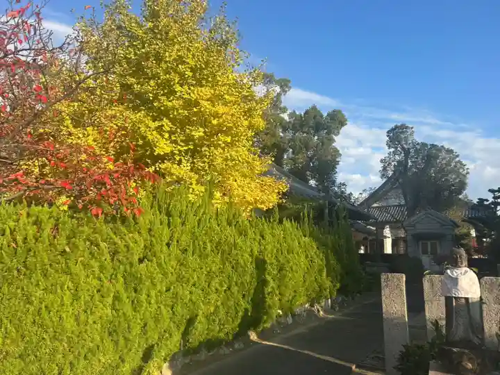 一乗院(和歌山県)