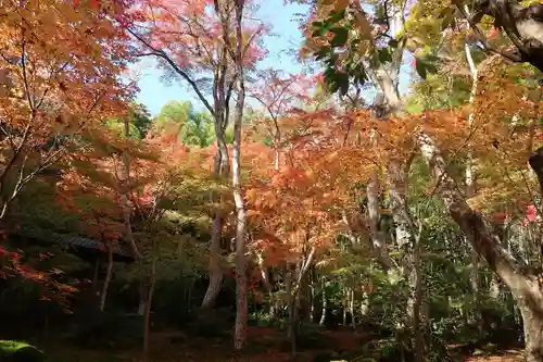 祇王寺(京都府)