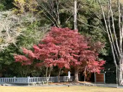 靜岡縣護國神社(静岡県)