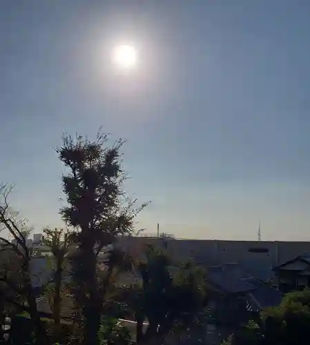 日枝神社の本殿・本堂