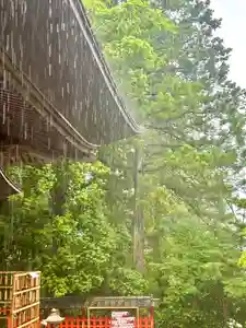 蚊里田八幡宮(長野県)(2025年06月23日(月) 18時41分44秒投稿)