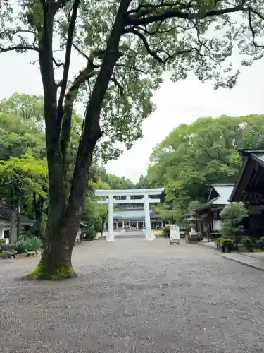 宮崎縣護國神社(宮崎県)