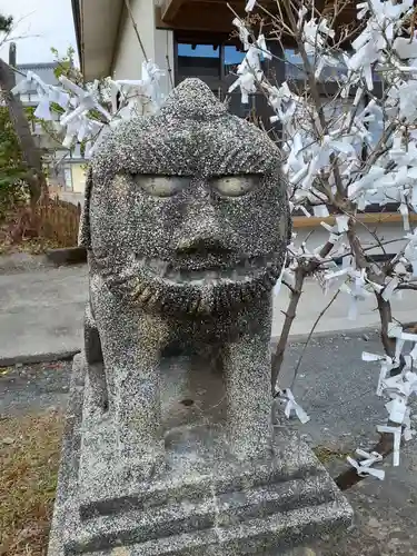 琴平神社の狛犬