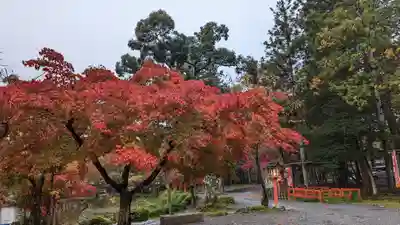 大原野神社(京都府)