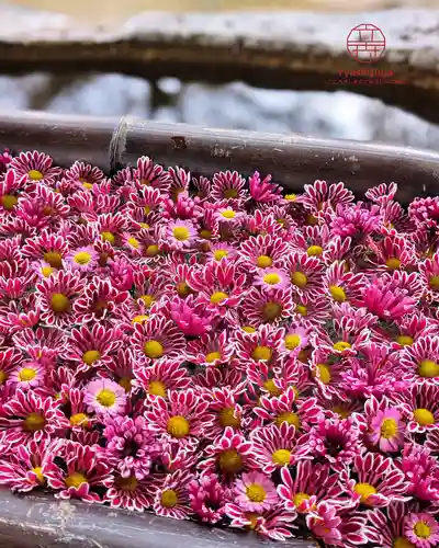 立志神社(滋賀県)