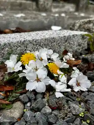 六孫王神社(京都府)