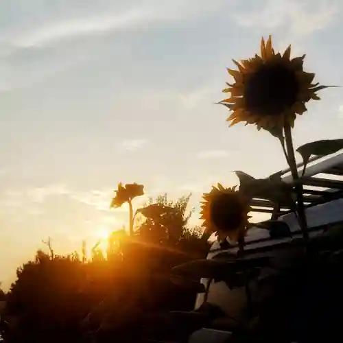 鈴置神社（矢合）の自然
