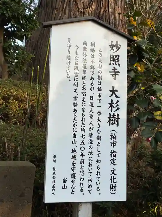 妙照寺(千葉県)