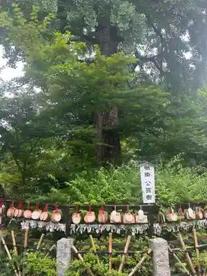 七社神社(東京都)