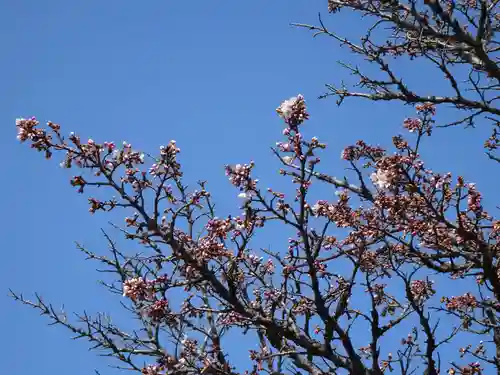 宝光寺の庭園