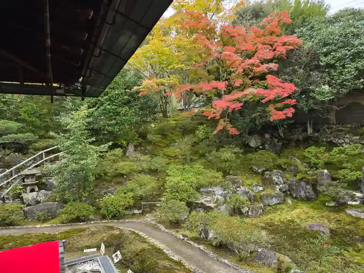 霊鑑寺門跡(京都府)