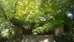 法輪寺の山門