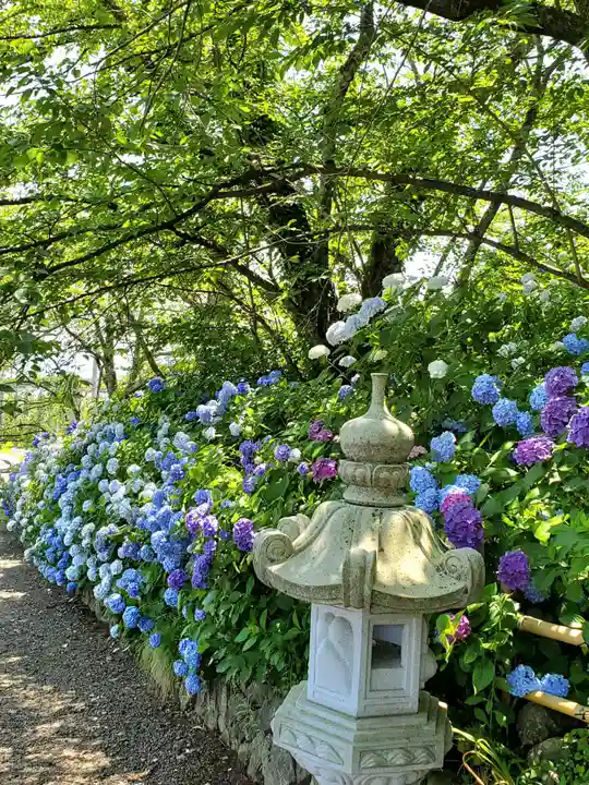白和瀬神社(福島県)