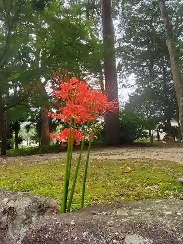 沙沙貴神社(滋賀県)
