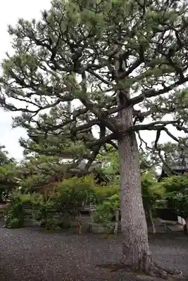 穴太寺(京都府)