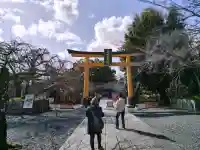 平野神社の{uncategorized: "未分類", other: "その他", undefined: "問題あり", building: "その他建物", grave: "お墓", sacred_gate: "鳥居", guardian: "狛犬", statue: "像", buddha: "仏像", history: "歴史", nature: "自然", garden: "庭園", animal: "動物", pagoda: "塔", temizu: "手水舎", mountain_gate: "山門・神門", sanctuary: "本殿・本堂", subordinate: "末社・摂社", art: "芸術", scenery: "景色", jizo: "地蔵", ema: "絵馬", goshuin: "御朱印", omikuji: "おみくじ", items: "授与品その他", amulet: "お守り", goshuincho: "御朱印帳", eats: "食事", festival: "お祭り", votive_dance: "神楽", shichigosan: "七五三参", wedding: "結婚式", experience: "体験その他", initially: "初詣", around: "周辺", anti_infection: "感染症対策"}