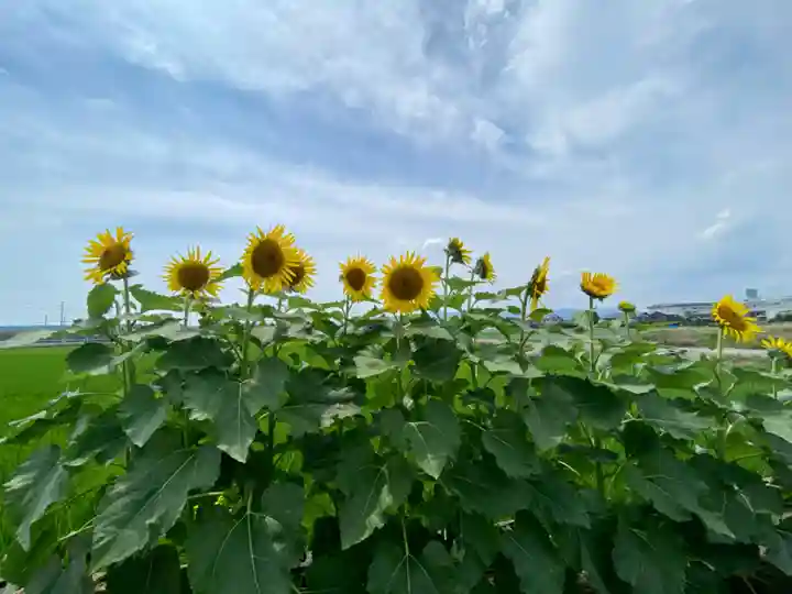 玉田神社の自然
