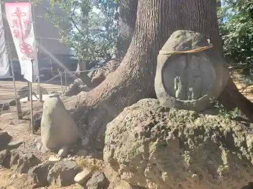 開運招福 飯玉神社(群馬県)