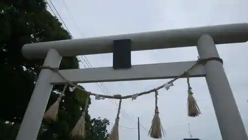 白幡神社の鳥居