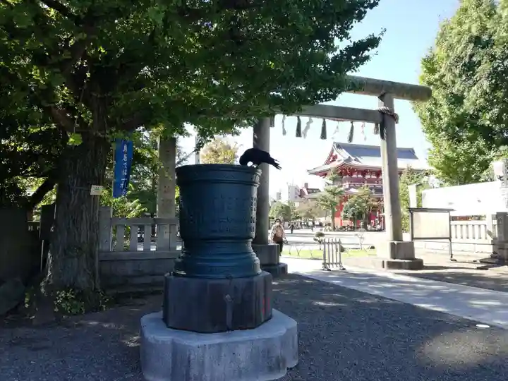 浅草神社の動物