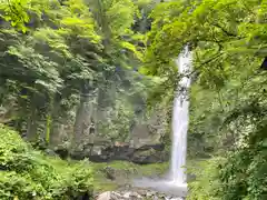 白山神社（長滝神社・白山長瀧神社・長滝白山神社）(岐阜県)