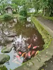 阿蘇神社(熊本県)