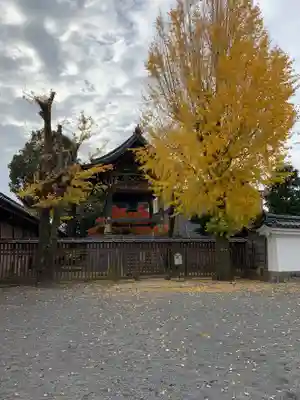 本願寺（西本願寺）のその他建物