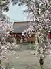相模原氷川神社の本殿・本堂