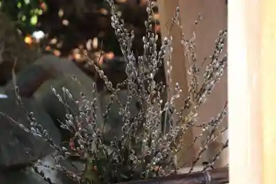 高司神社〜むすびの神の鎮まる社〜の手水舎