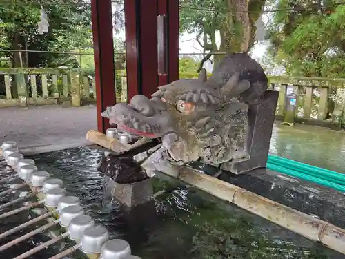 鹿児島神宮(鹿児島県)