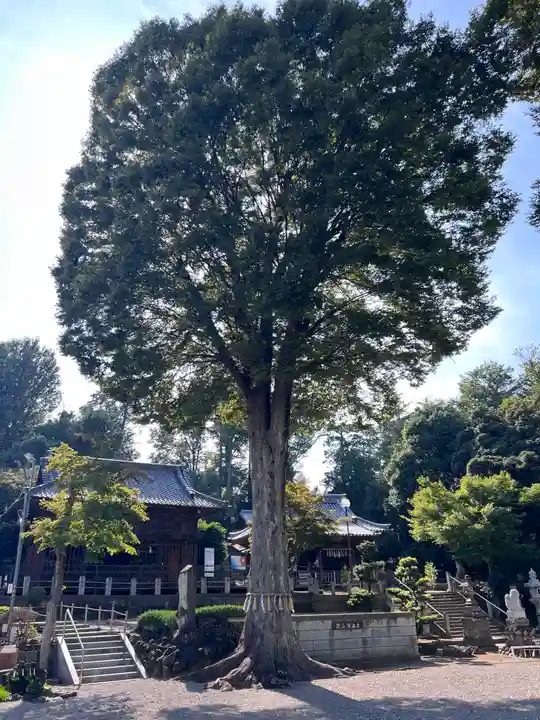 瀧宮神社(埼玉県)