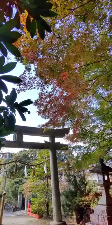 水度神社(京都府)