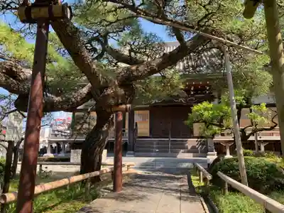 正定聚院等覚寺(茨城県)