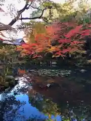 天授庵(京都府)