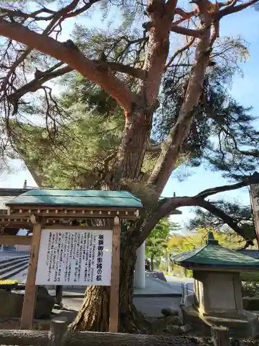 越後胎内観音(新潟県)