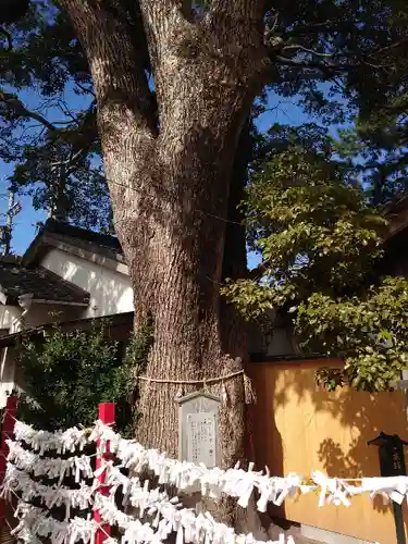 菅生神社の自然