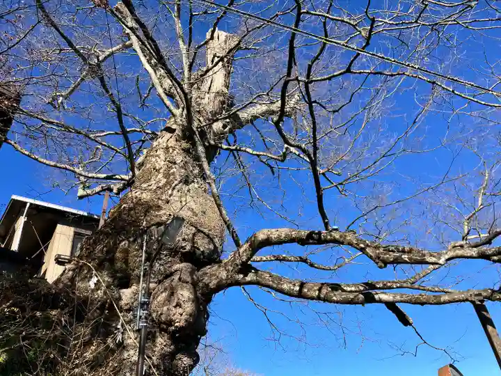 武蔵御嶽神社(東京都)