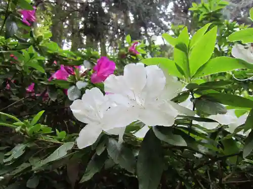 施福寺の自然