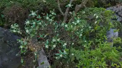 霊源院(京都府)