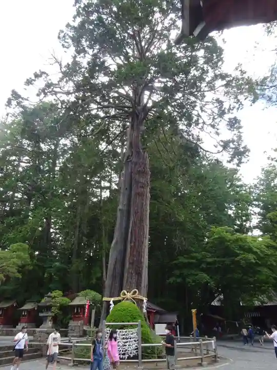北口本宮冨士浅間神社の自然