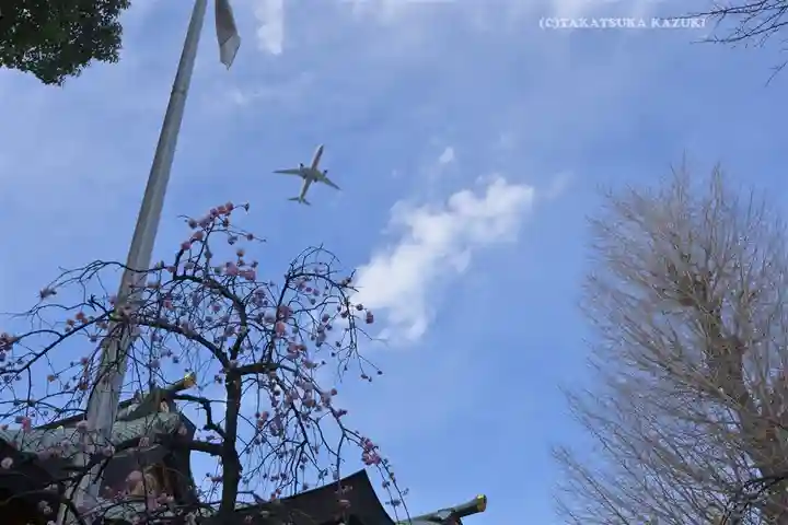 居木神社(東京都)